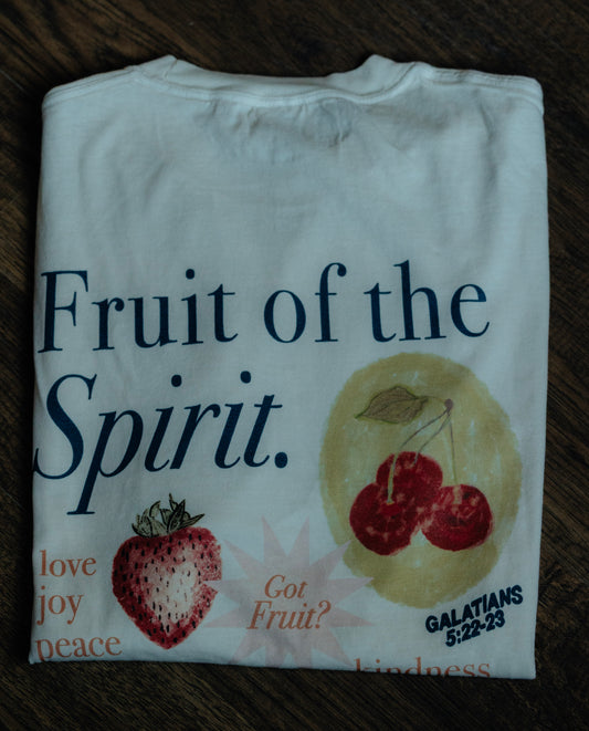 FRUIT OF THE SPIRIT T-SHIRT