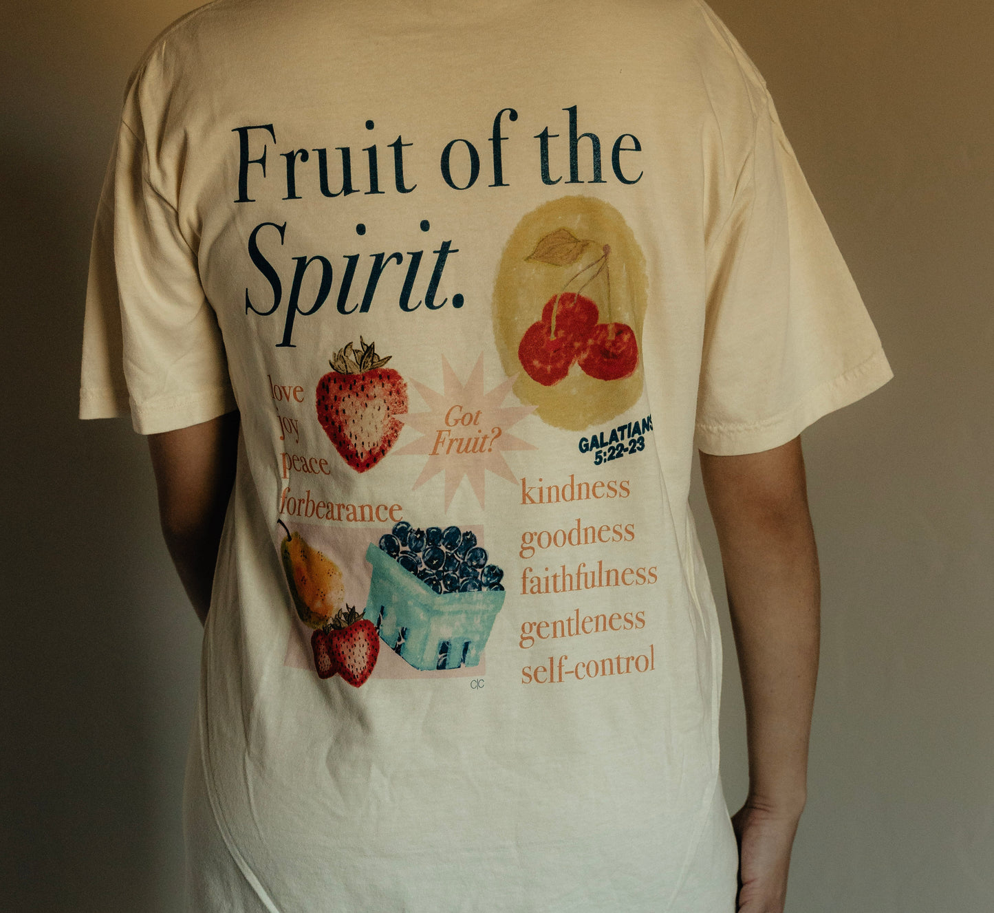 FRUIT OF THE SPIRIT T-SHIRT